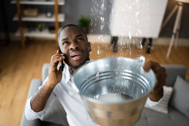 Best Ceiling water damage repair  in Monona, IA