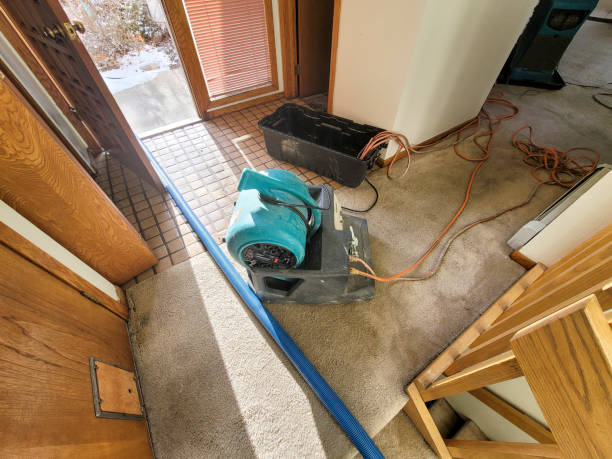 Best Sewage cleanup and water damage restoration  in Monona, IA