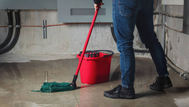 Best Local water damage restoration  in Monona, IA