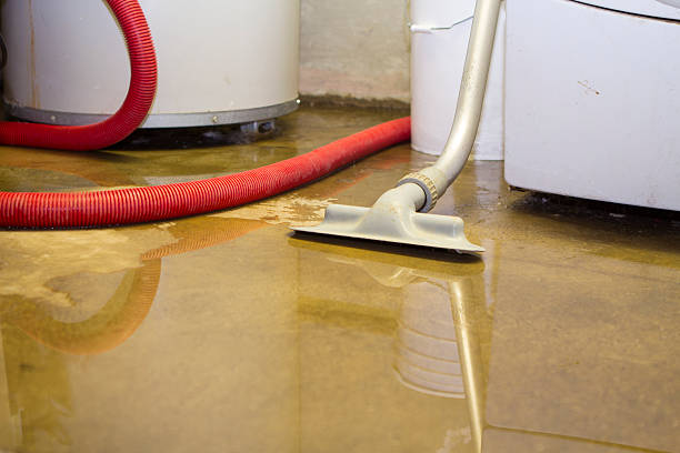 Best Emergency water damage restoration  in Monona, IA