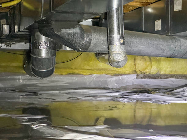 Best 24-hour water damage restoration  in Monona, IA
