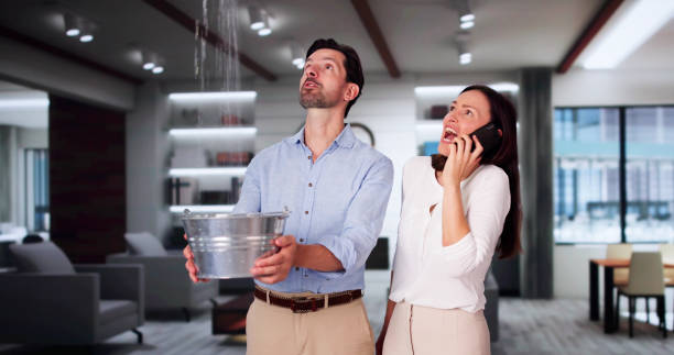 Best Professional water damage repair  in Monona, IA